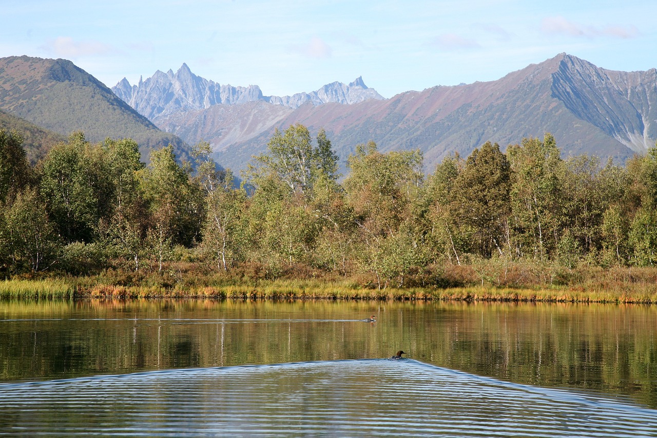 The Importance of Calmness in Training